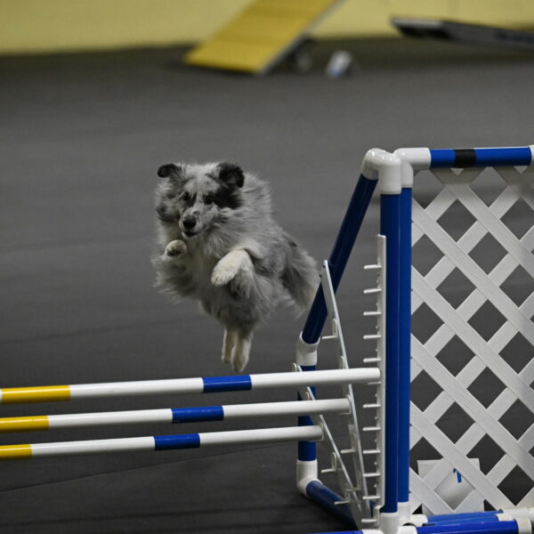 Dulci-Weinrich-08360