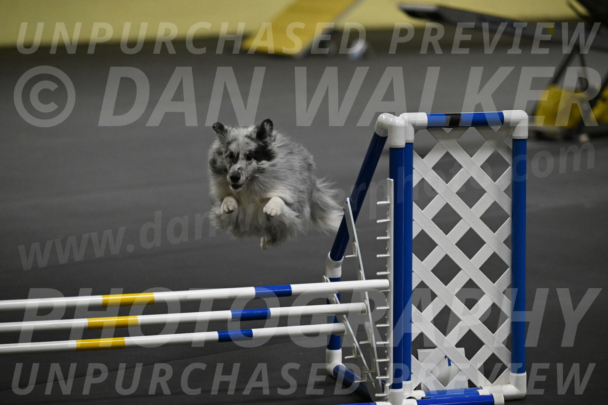 Dulci-Weinrich-08361