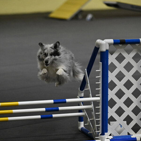 Dulci-Weinrich-08361