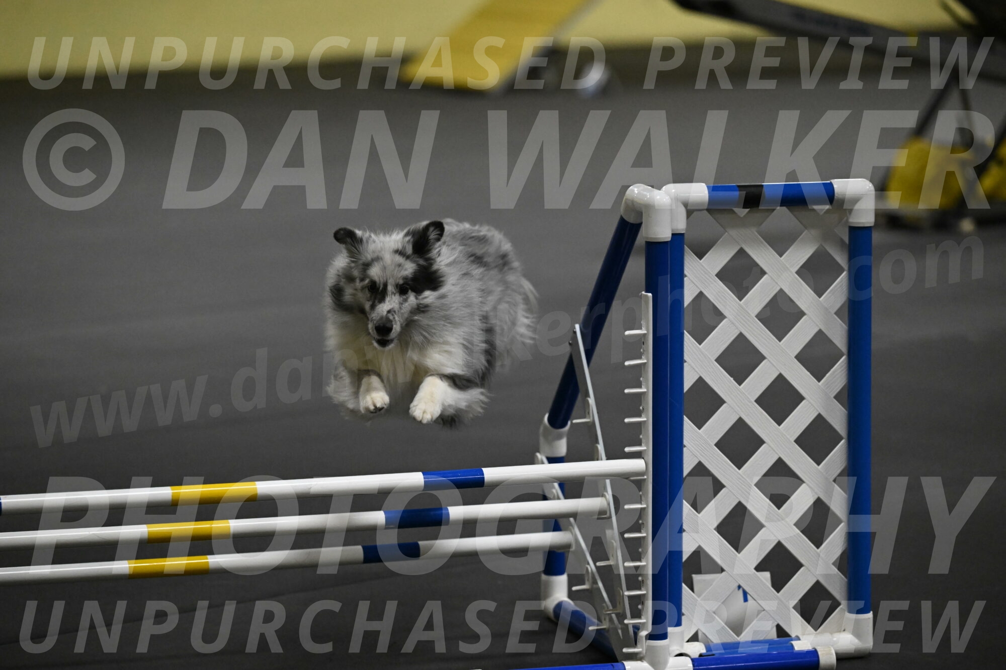 Dulci-Weinrich-08362