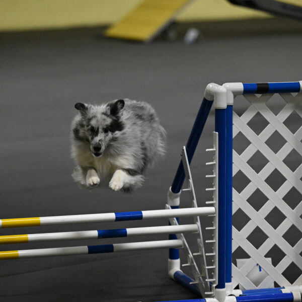 Dulci-Weinrich-08362