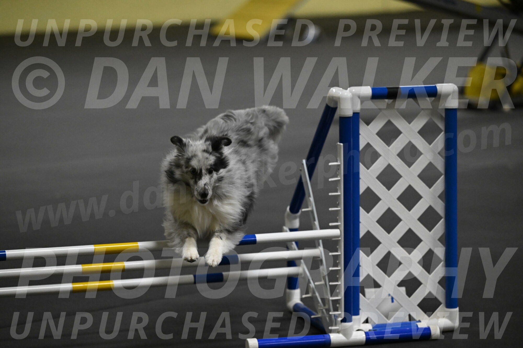 Dulci-Weinrich-08363