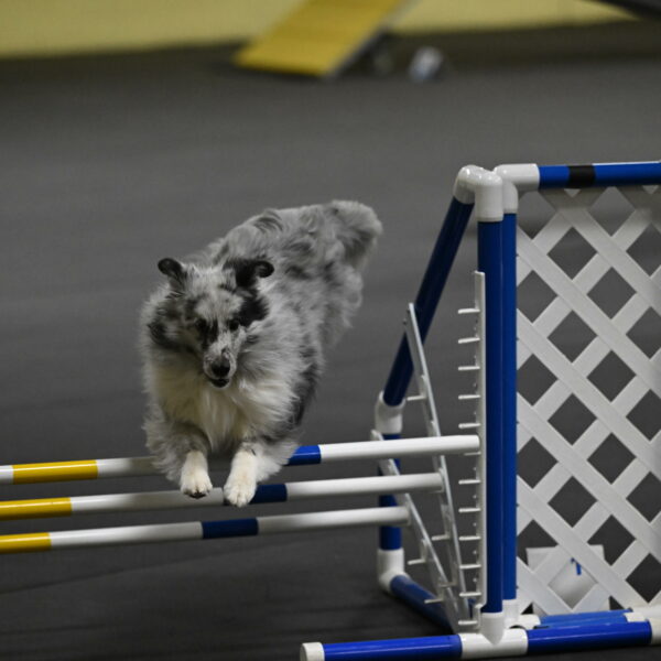 Dulci-Weinrich-08363