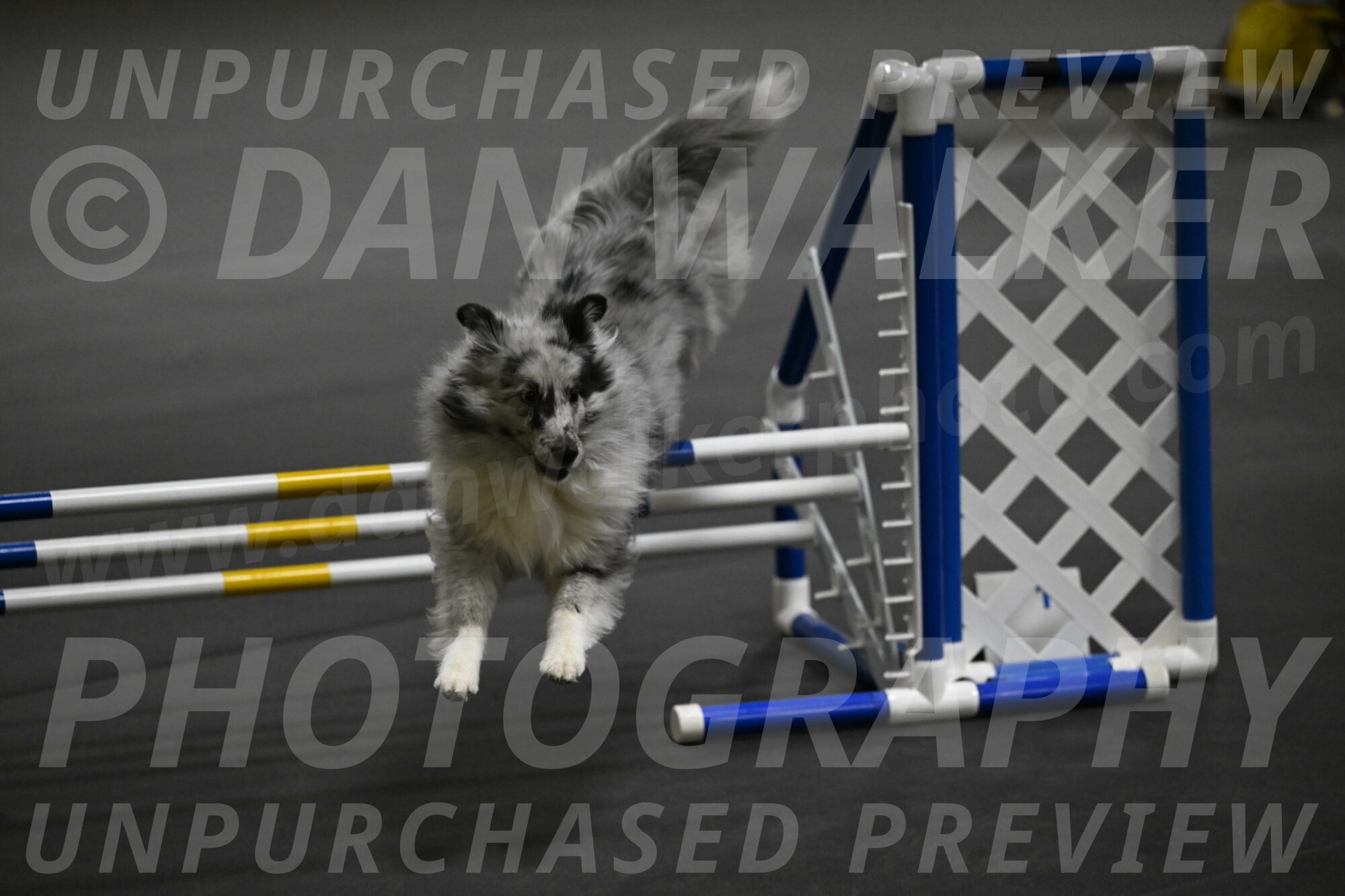 Dulci-Weinrich-08364