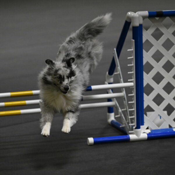 Dulci-Weinrich-08364