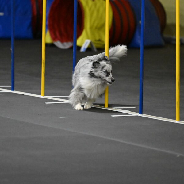 Dulci-Weinrich-08367