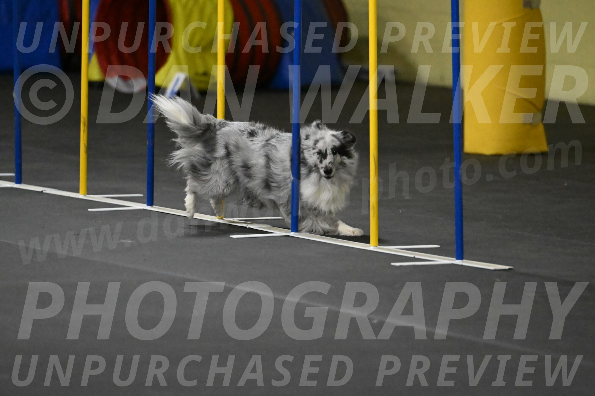 Dulci-Weinrich-08370