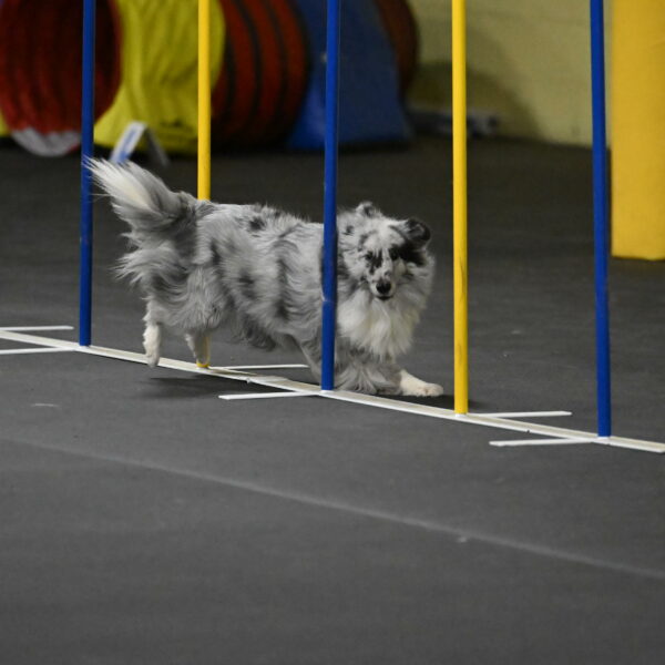 Dulci-Weinrich-08370