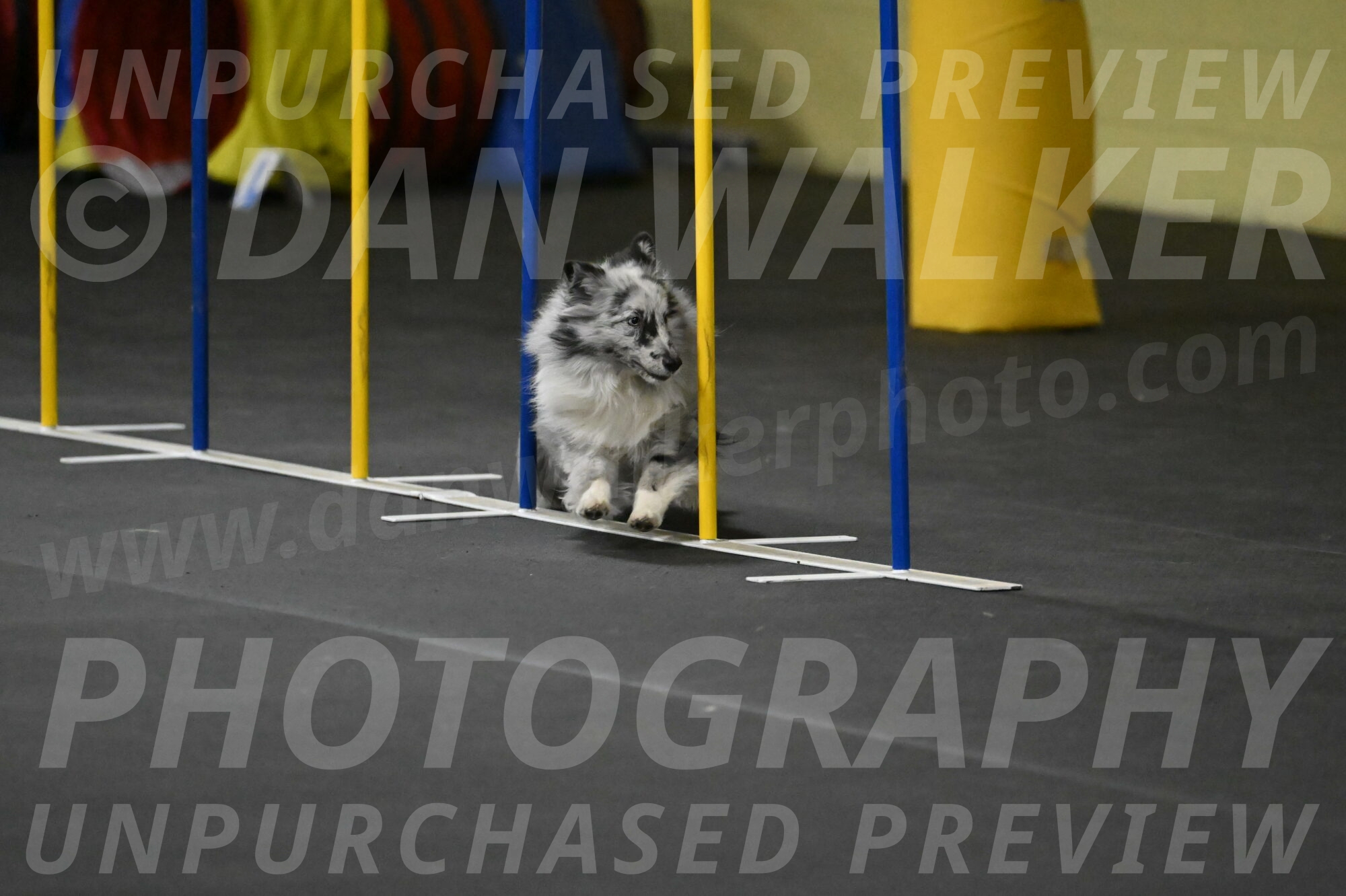 Dulci-Weinrich-08372