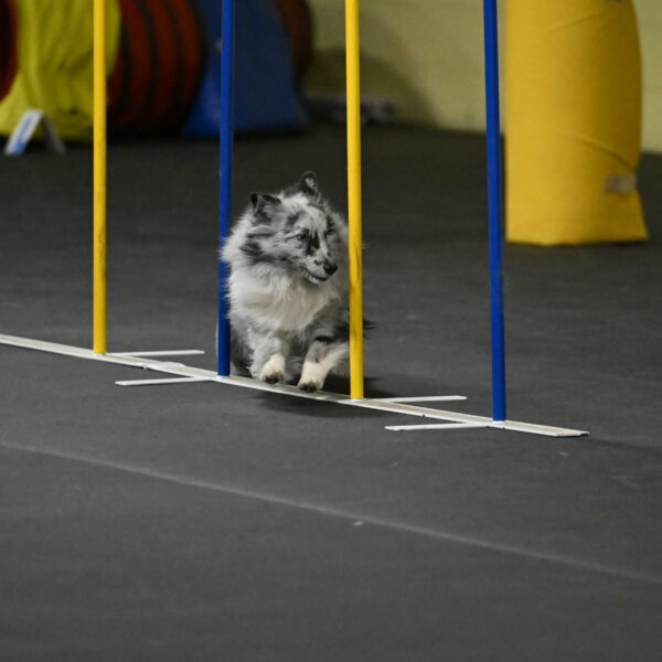 Dulci-Weinrich-08372