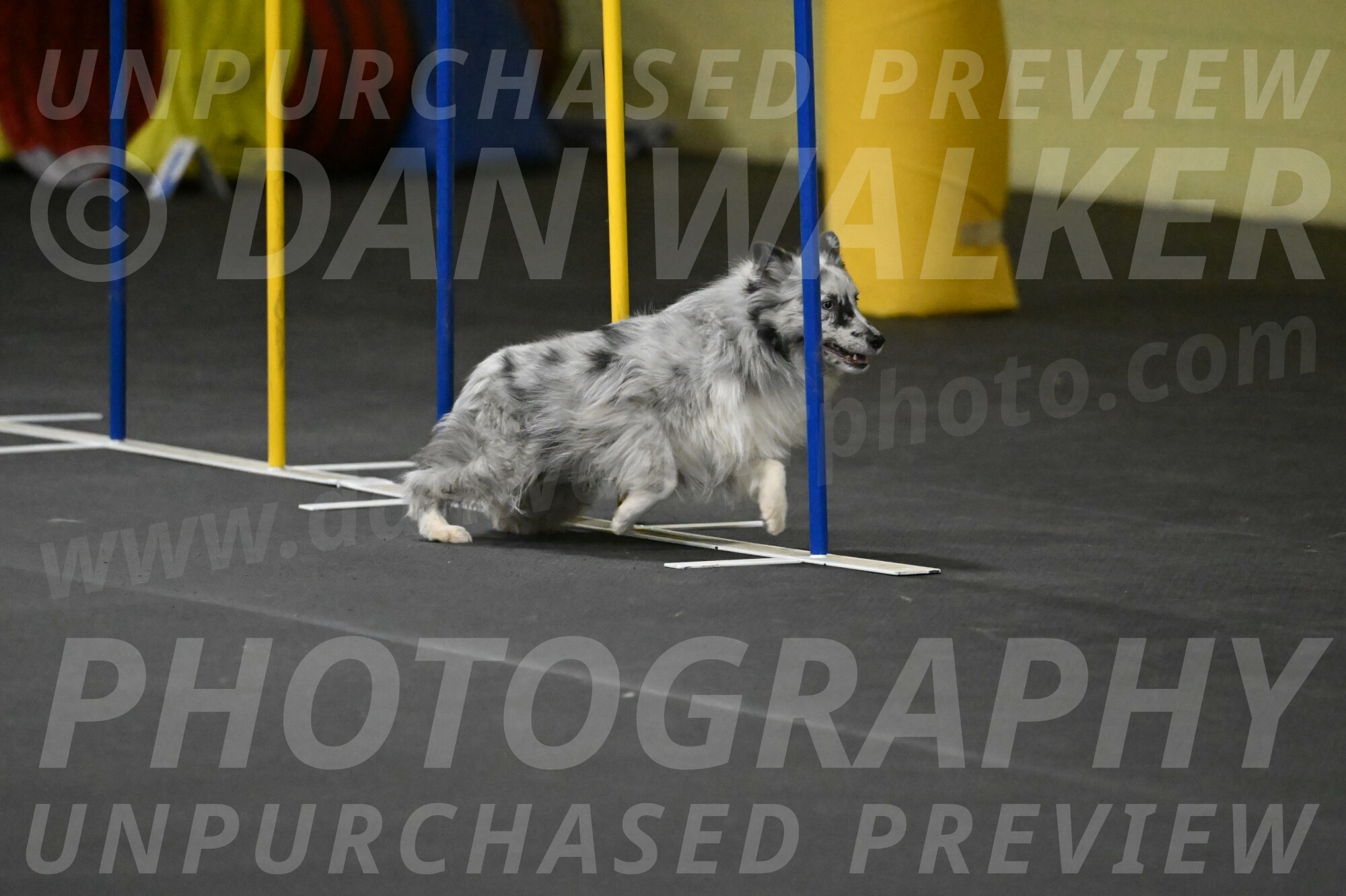 Dulci-Weinrich-08374