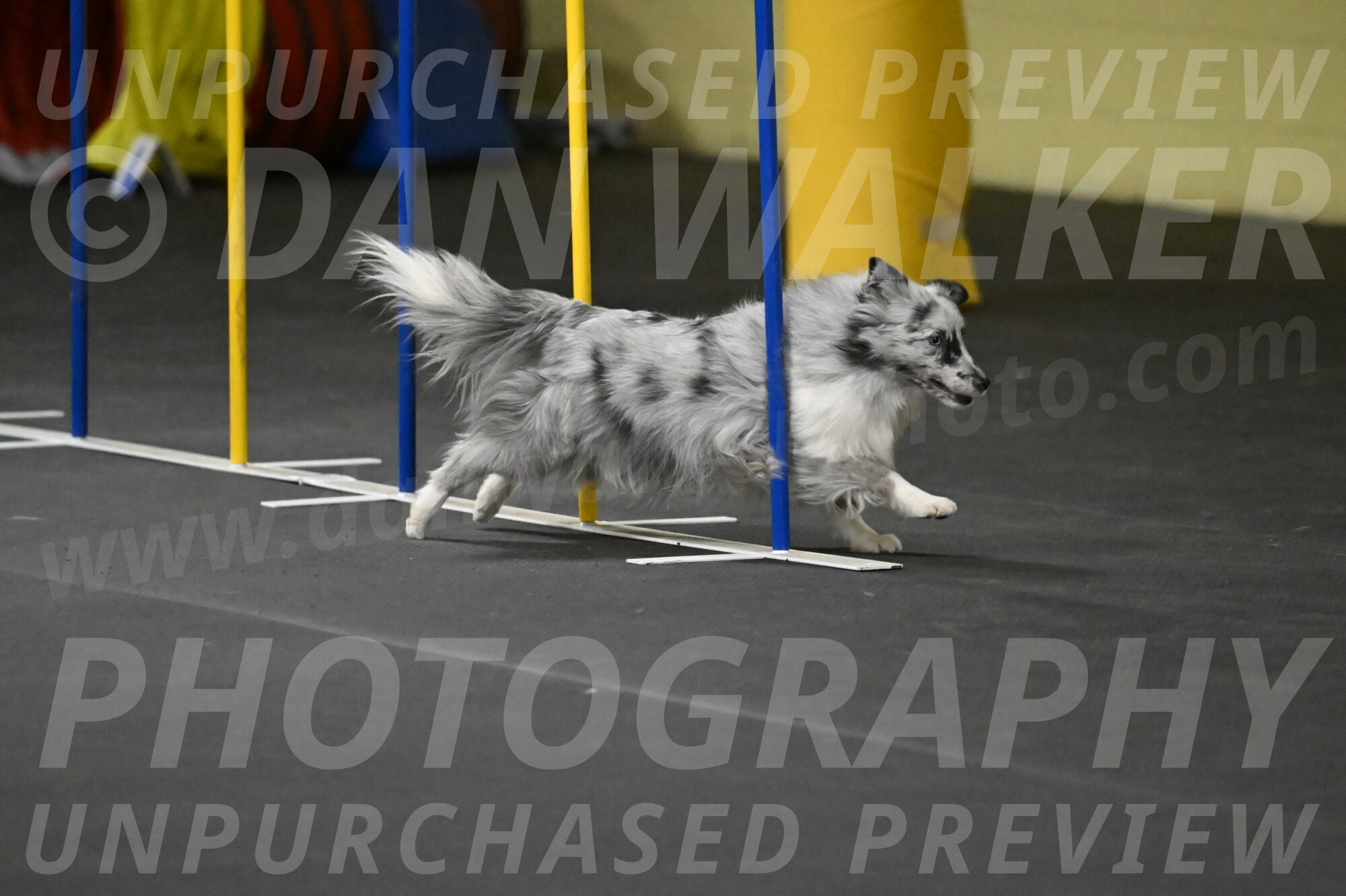 Dulci-Weinrich-08375