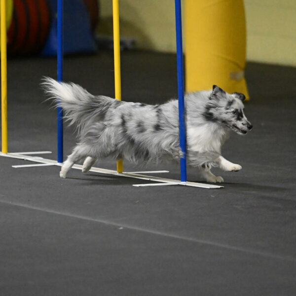 Dulci-Weinrich-08375