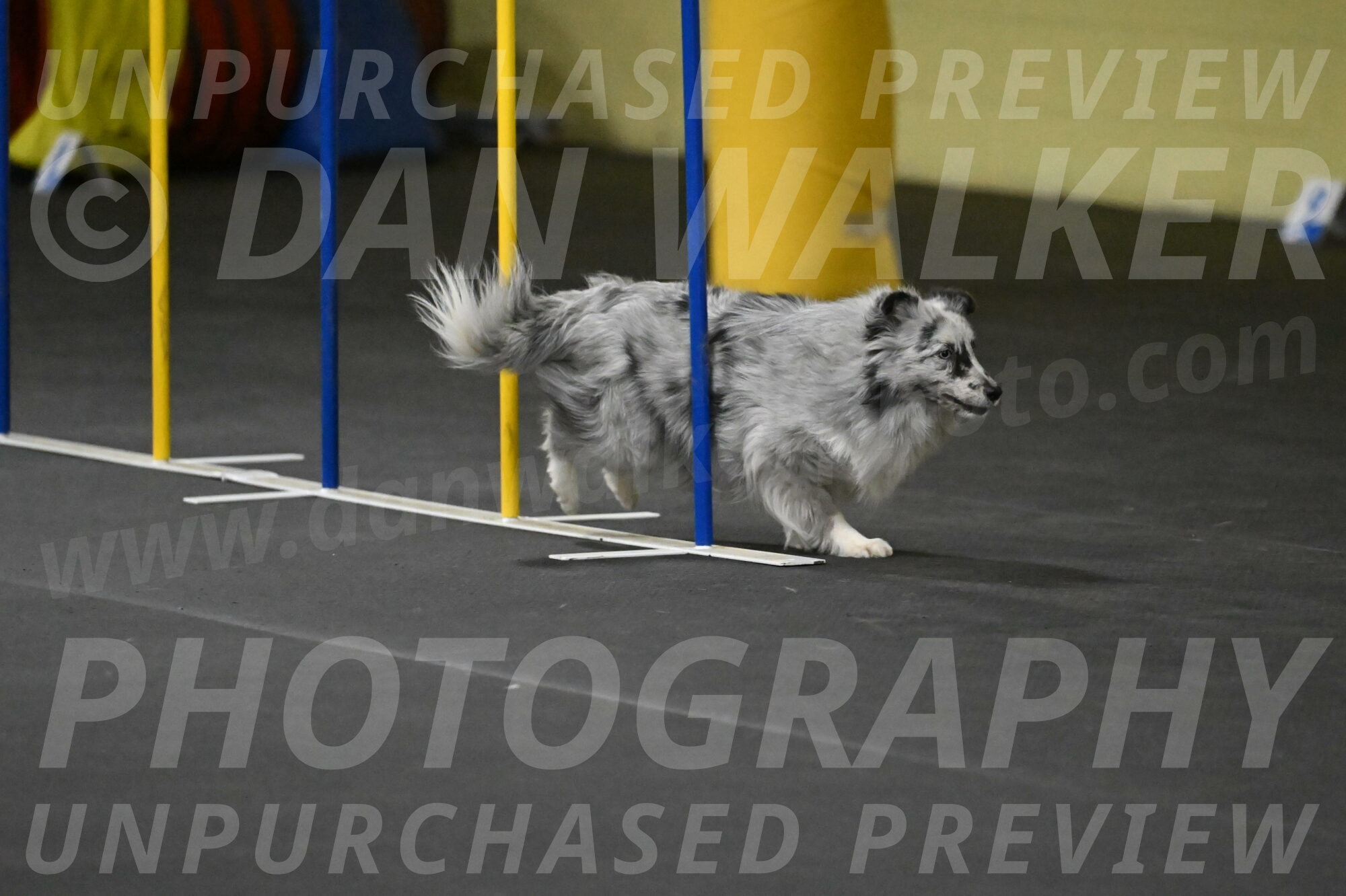 Dulci-Weinrich-08376