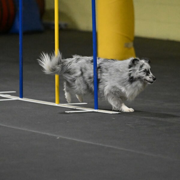 Dulci-Weinrich-08376