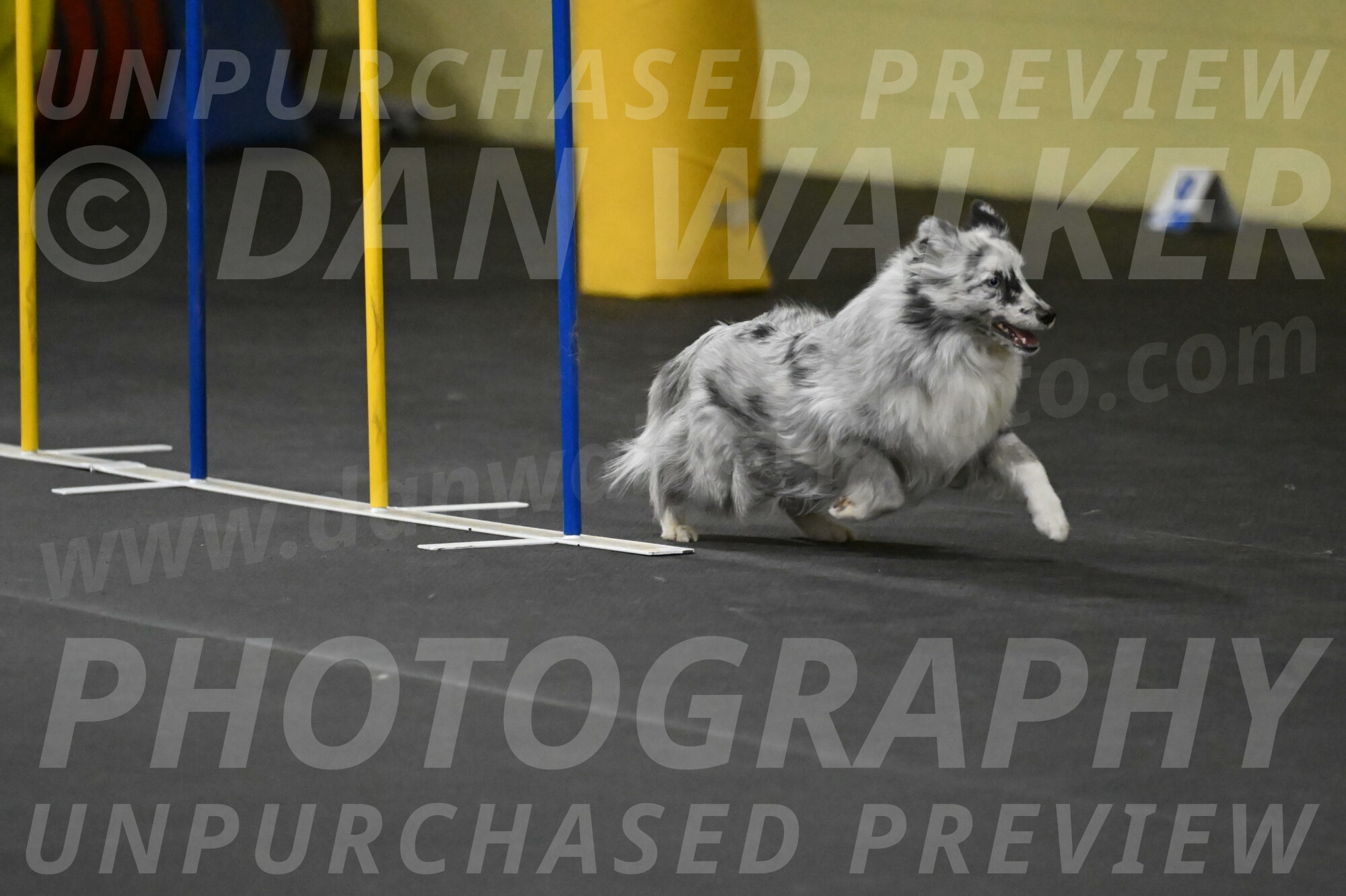 Dulci-Weinrich-08377