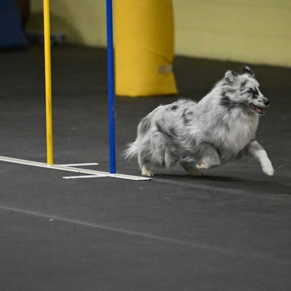 Dulci-Weinrich-08377