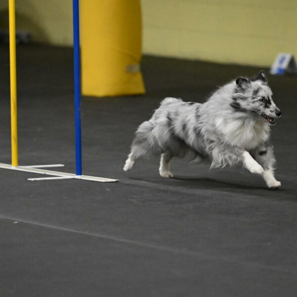 Dulci-Weinrich-08378