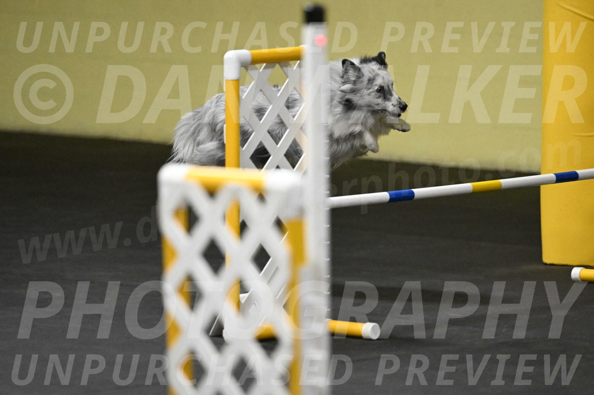 Dulci-Weinrich-08381