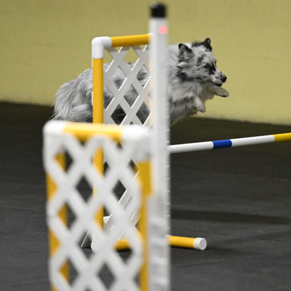 Dulci-Weinrich-08381