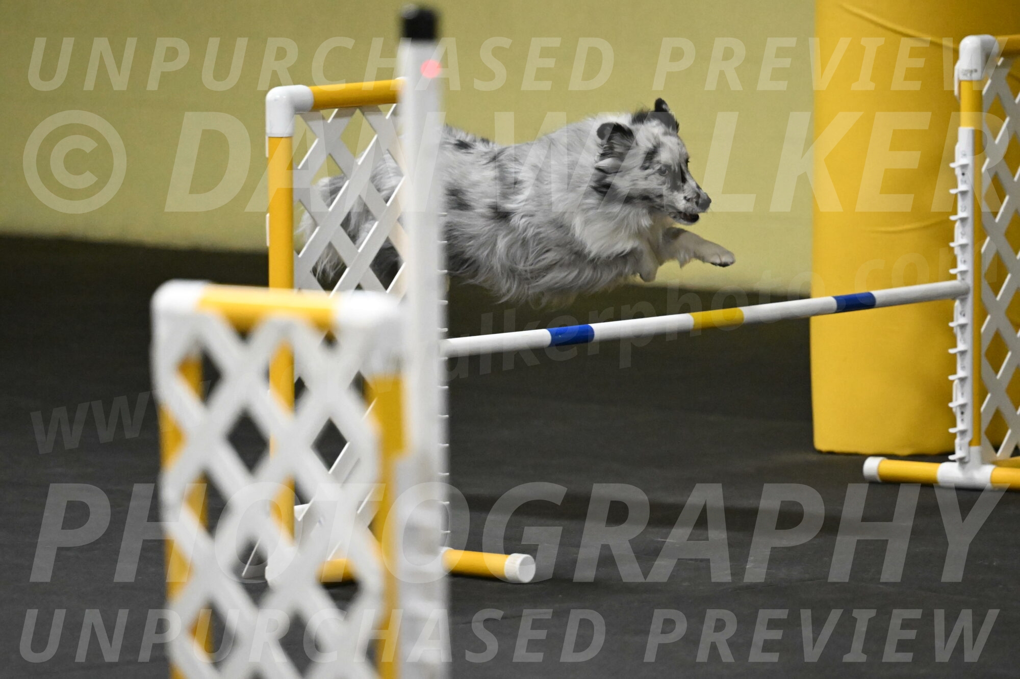 Dulci-Weinrich-08382