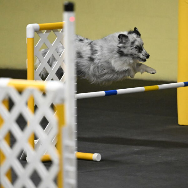 Dulci-Weinrich-08382