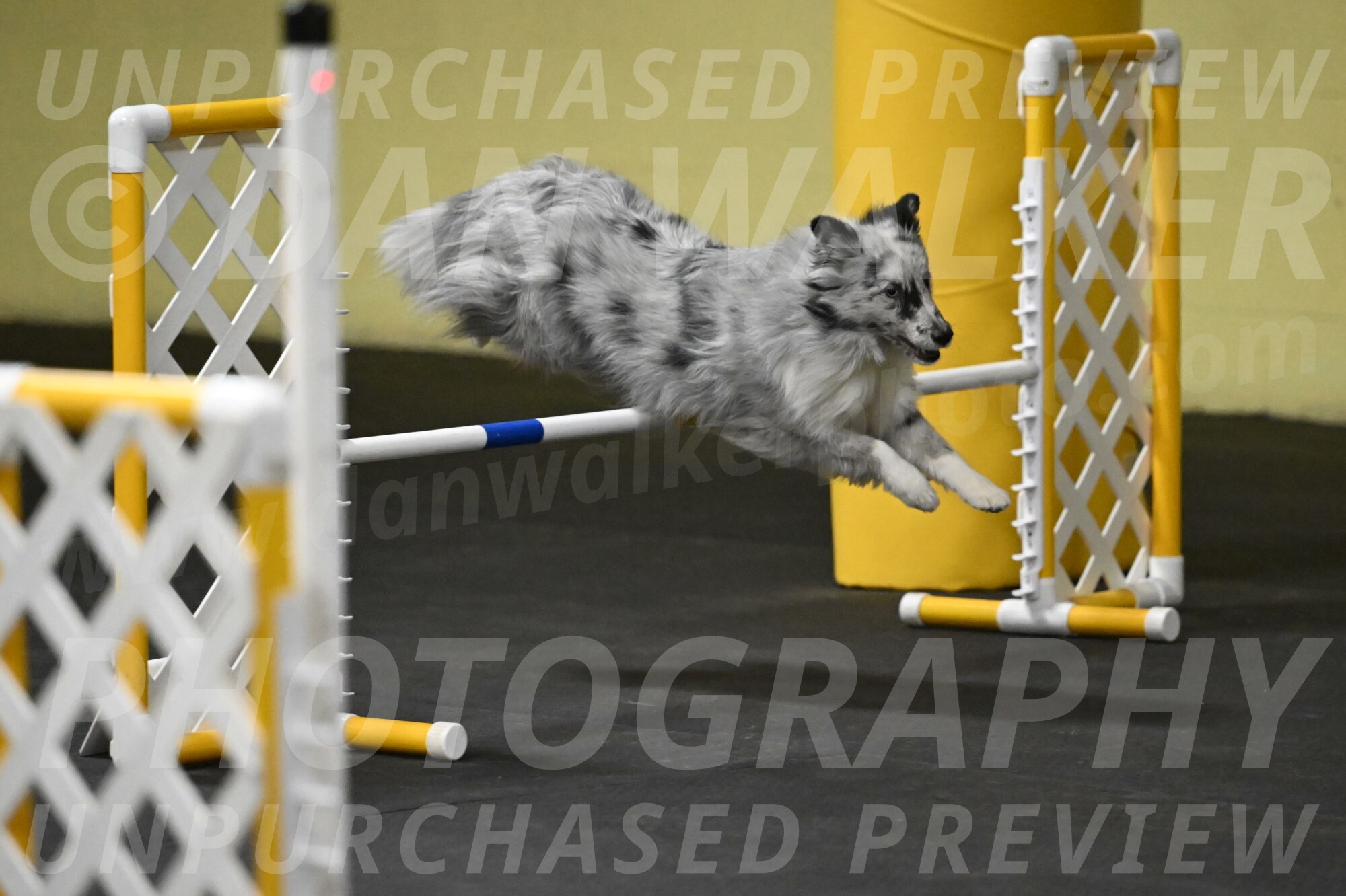 Dulci-Weinrich-08383