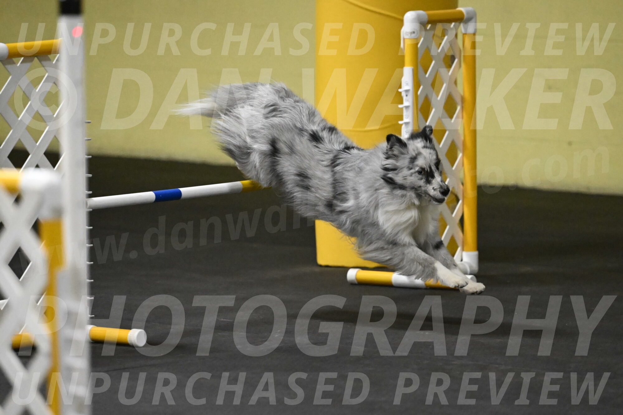 Dulci-Weinrich-08384