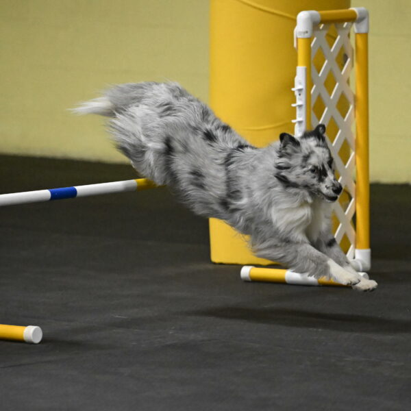 Dulci-Weinrich-08384