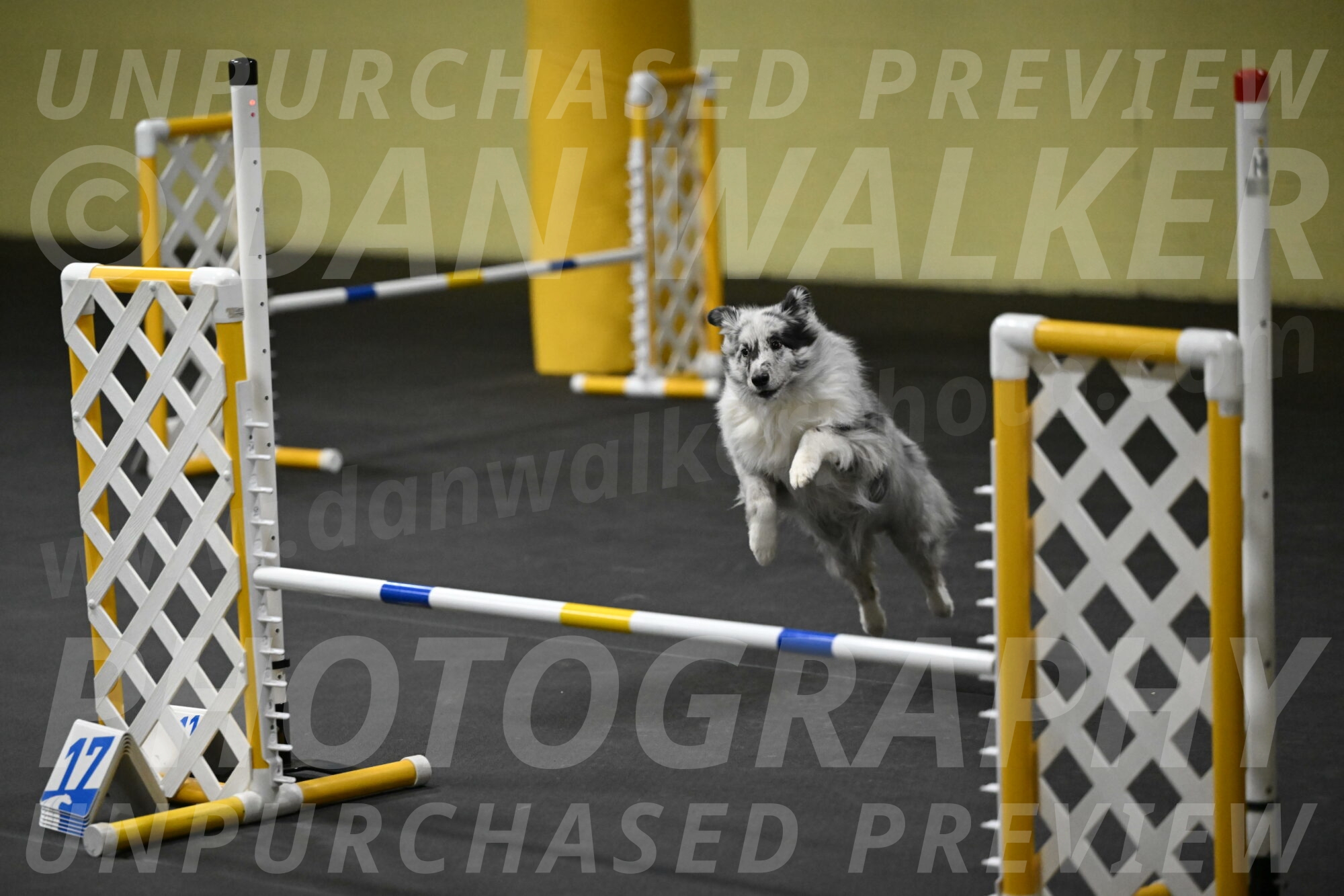 Dulci-Weinrich-08388