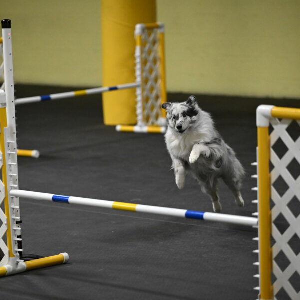 Dulci-Weinrich-08388