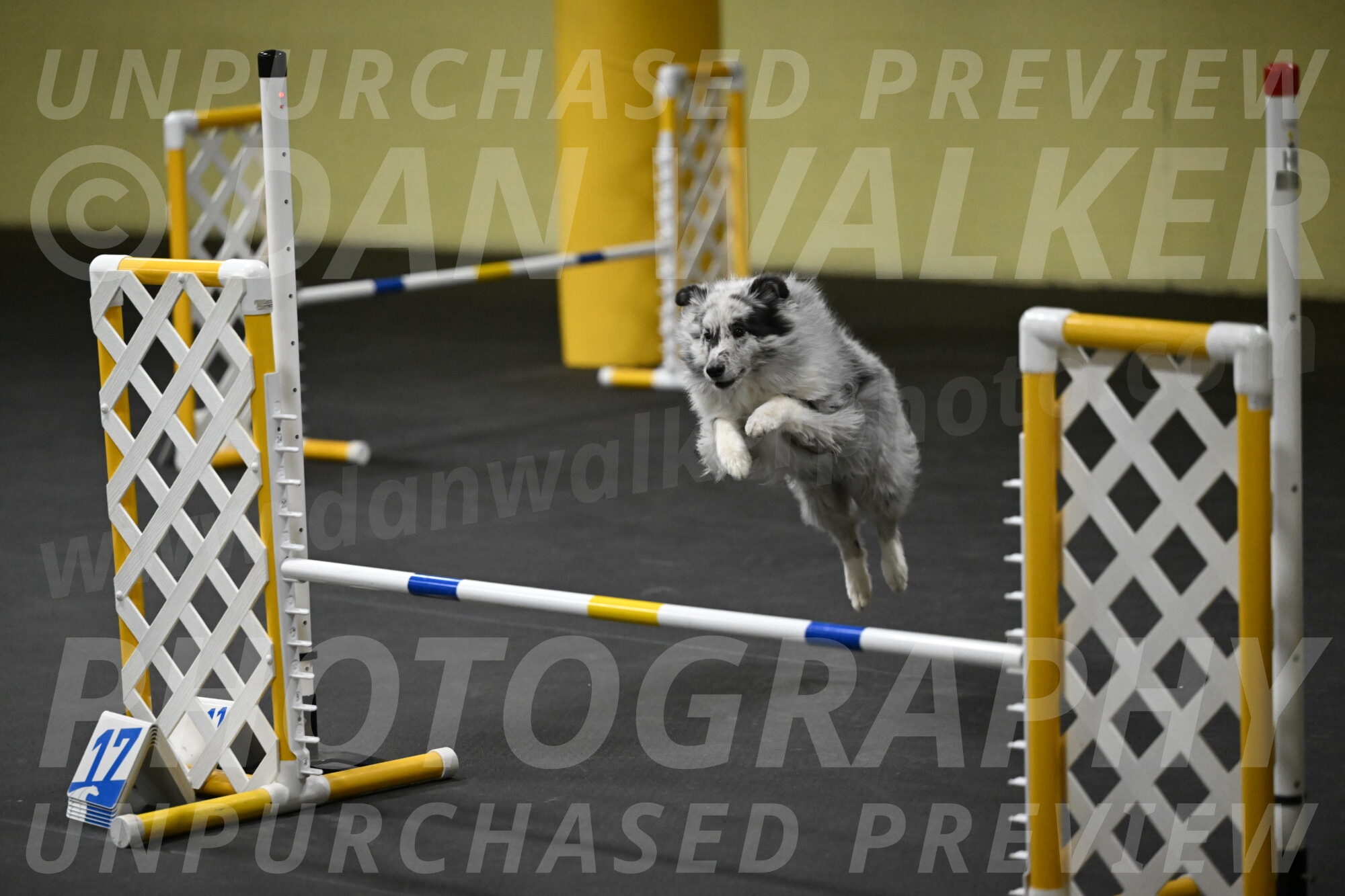 Dulci-Weinrich-08389