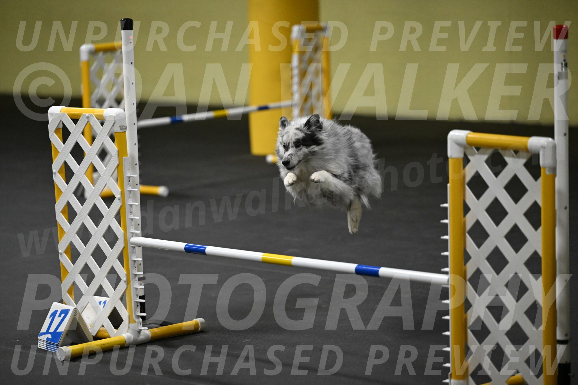 Dulci-Weinrich-08390