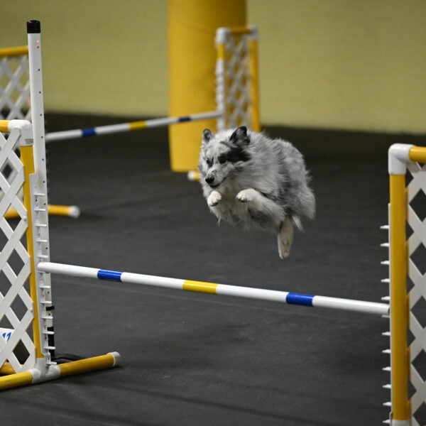 Dulci-Weinrich-08390