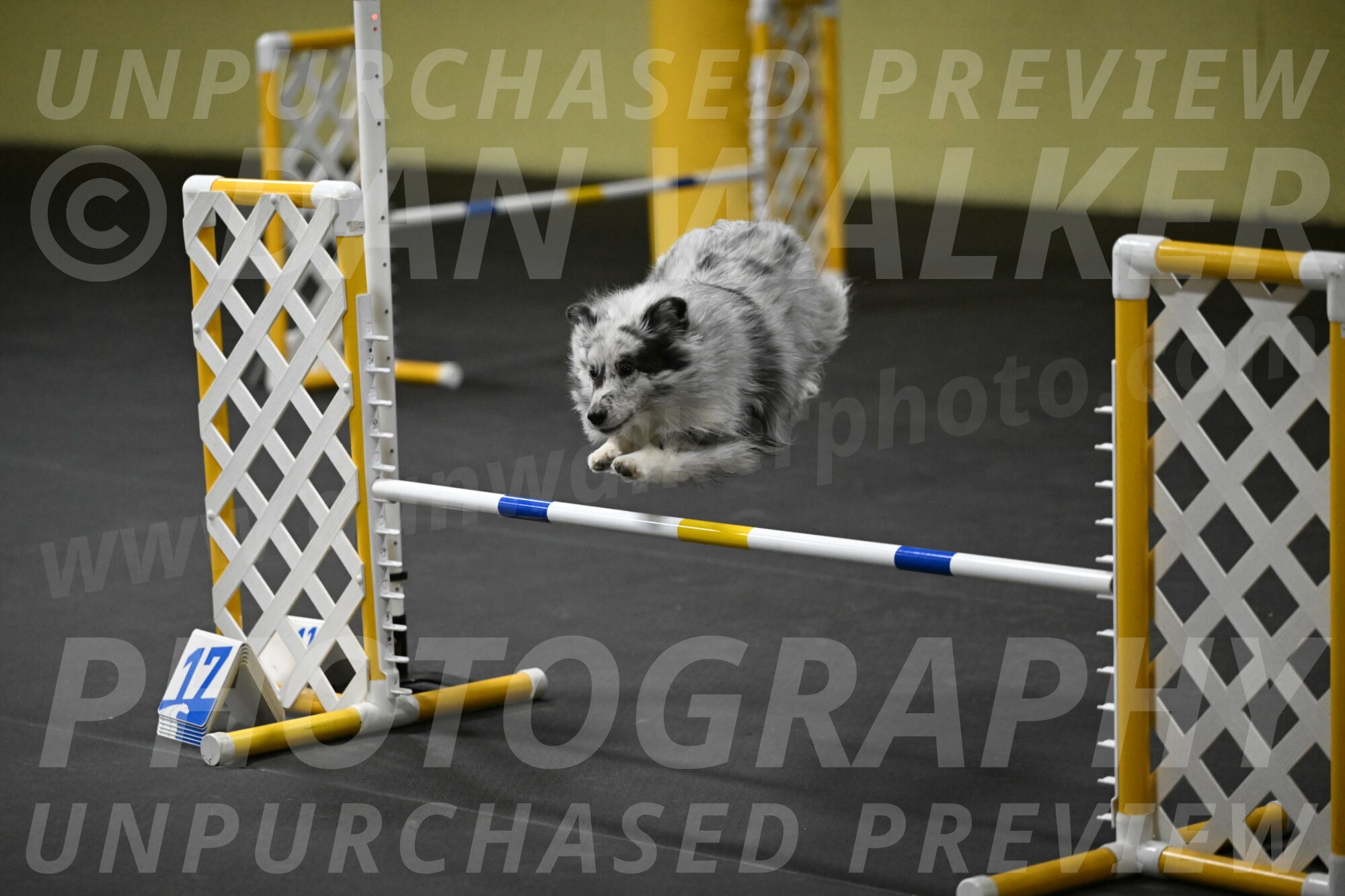 Dulci-Weinrich-08392