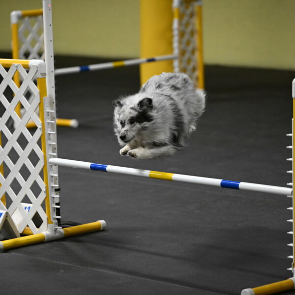 Dulci-Weinrich-08392