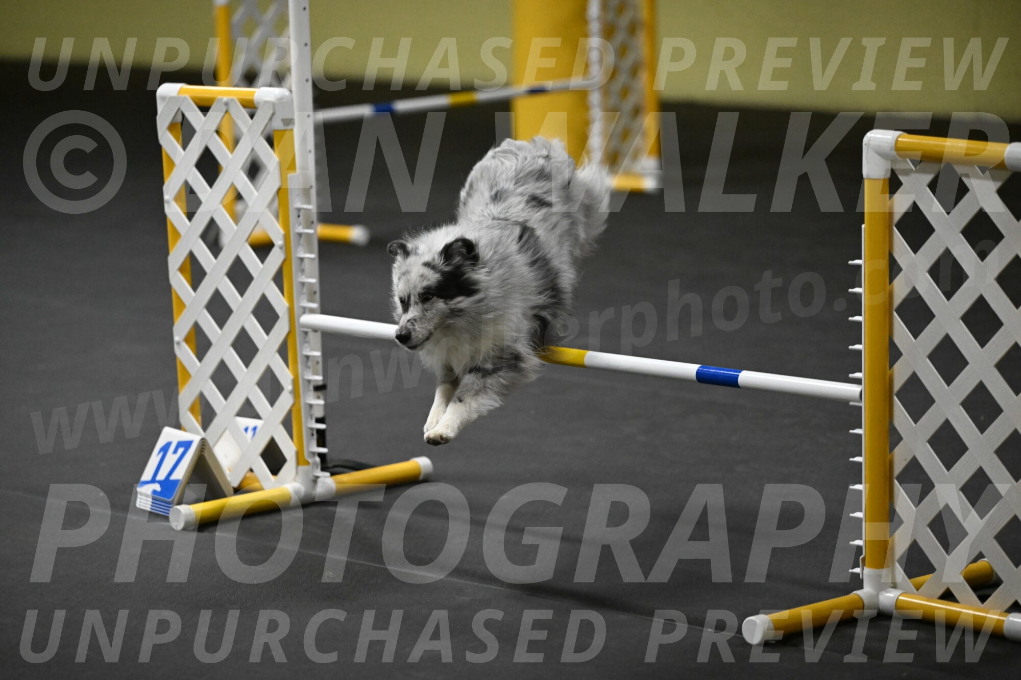 Dulci-Weinrich-08393