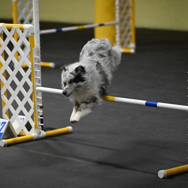 Dulci-Weinrich-08393