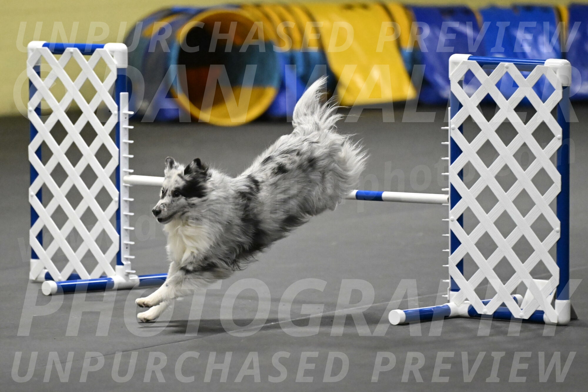 Dulci-Weinrich-08394