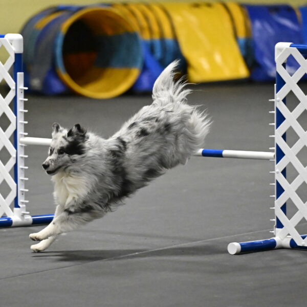 Dulci-Weinrich-08394