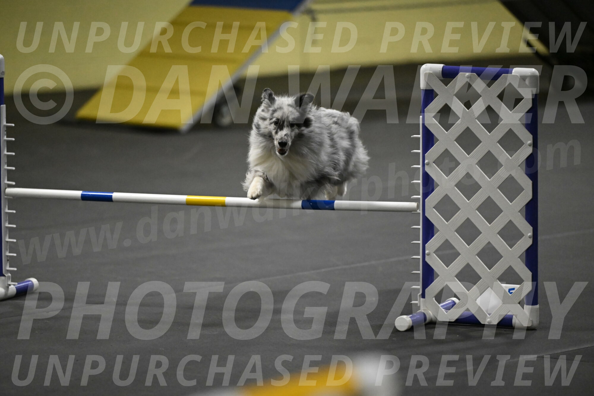 Dulci-Weinrich-08396