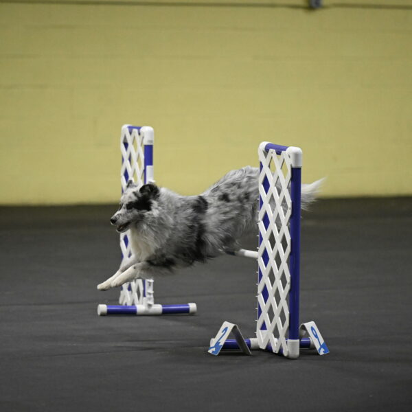 Dulci-Weinrich-08416