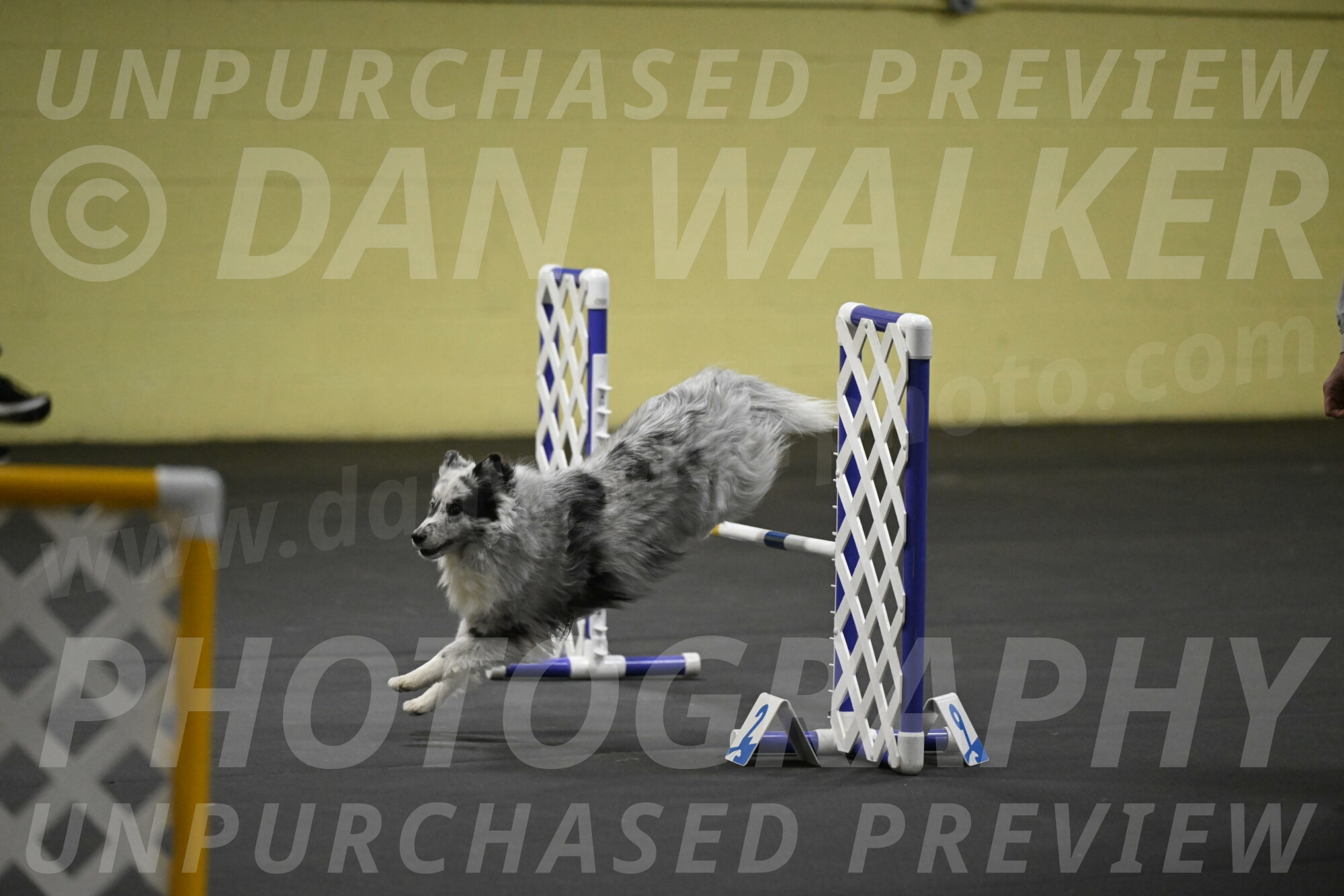 Dulci-Weinrich-08417