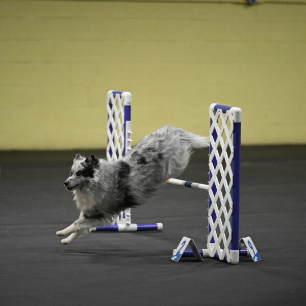 Dulci-Weinrich-08417