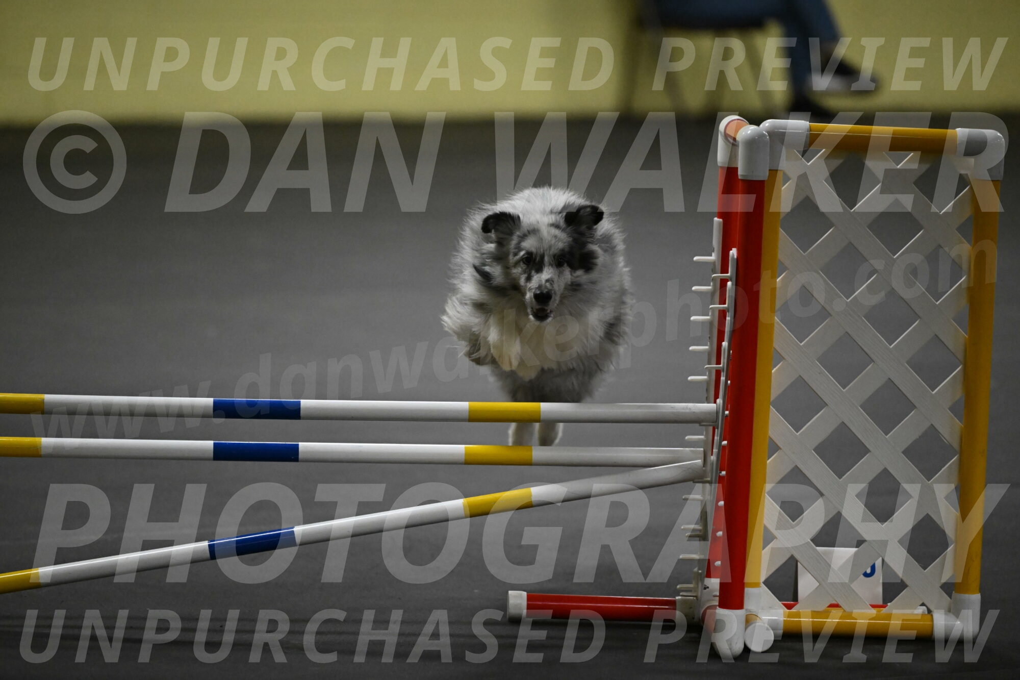 Dulci-Weinrich-08421