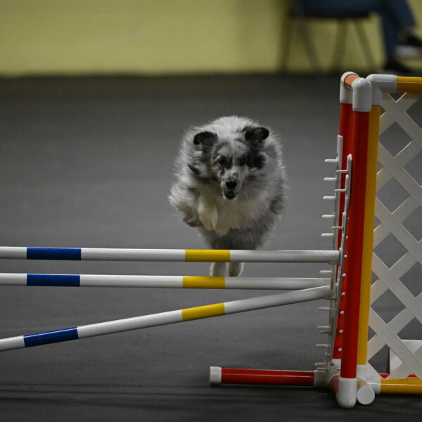 Dulci-Weinrich-08421