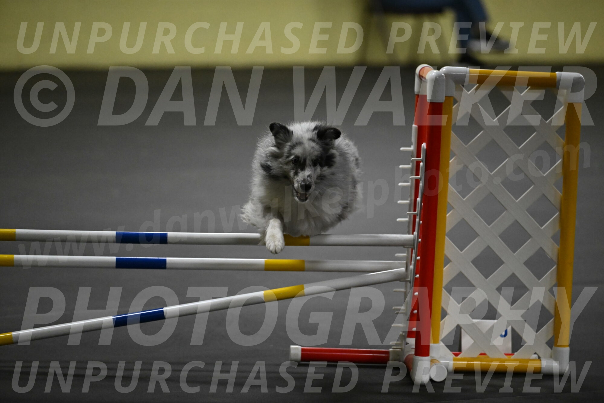 Dulci-Weinrich-08422