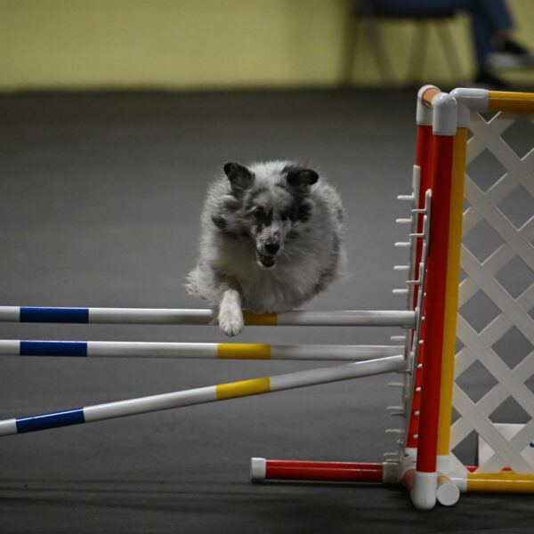 Dulci-Weinrich-08422