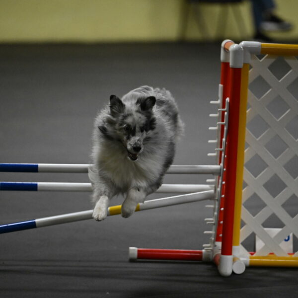 Dulci-Weinrich-08423