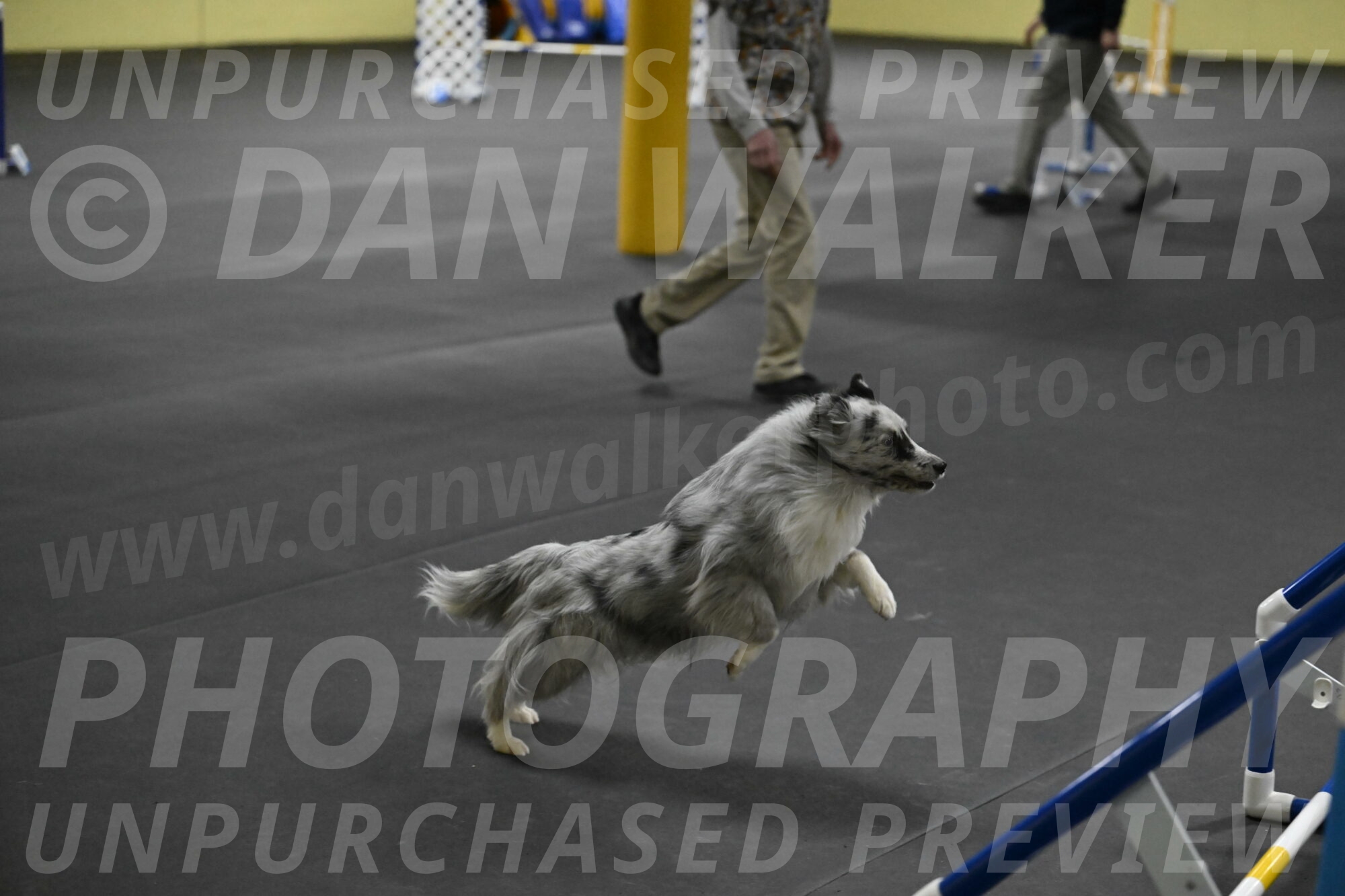 Dulci-Weinrich-08427